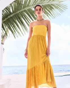Online Ramy Brook Devyani Strapless Maxi Dress Daisypleats
