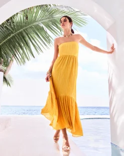 Online Ramy Brook Devyani Strapless Maxi Dress Daisypleats